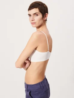 Brassiere