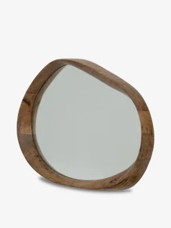 Miroir manguier s - urban nature culture