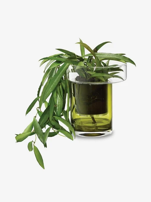 Pot a plante avec reserve d'eau s verre ...