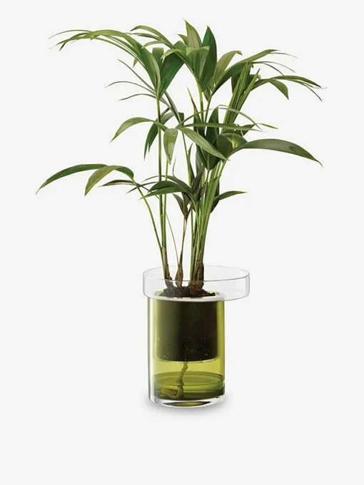 Pot a plante avec reserve d'eau s verre ...