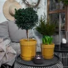 Pot plante m gres moutarde gres 17x19cm ...